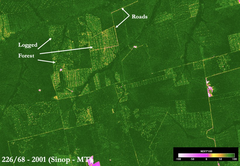 This illustration of NDFI as an aid to landscape interpretation (here, selective logging) shows intact forest as dark green, forest disturbance in orange-yellow, deforestation in magenta, and bare soil in white. Figure from Souza et al., 2005).