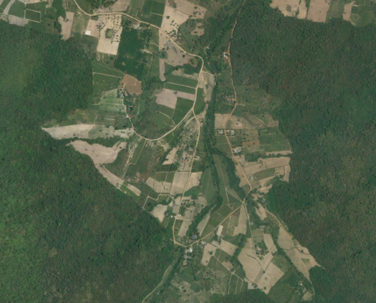 Crops surrounded by forests in Thailand. Imagery courtesy Bing.
