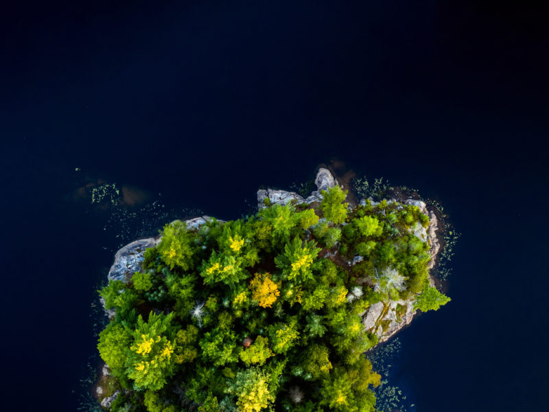 CEO Thought Leadership