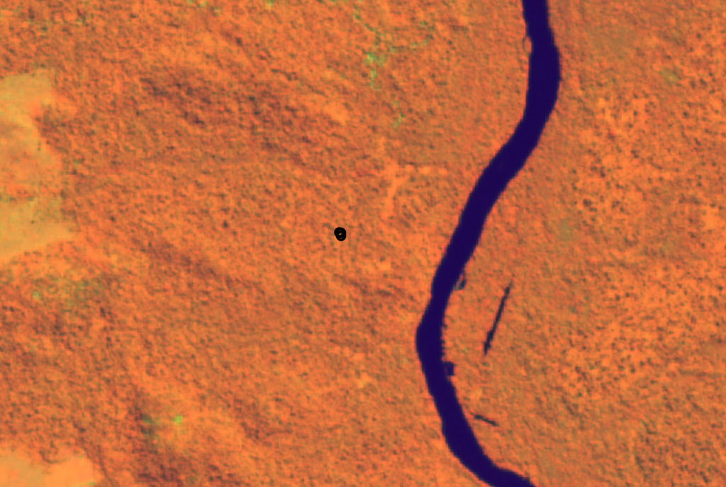 Sentinel 2 imagery using the Healthy Vegetation band combination in the Data Collection interface.