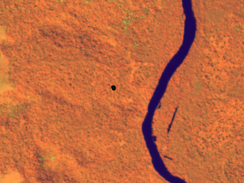 Sentinel 2 imagery using the Healthy Vegetation band combination in the Data Collection interface.