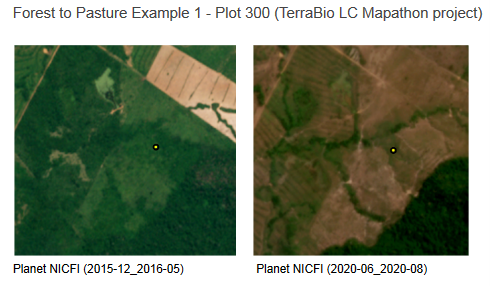 Example from the Interpretation Key: Deforestation section of the interpretation key highlighting multiple examples of deforestation taking place. This example highlights what the Forest to Pasture transformation looks like.