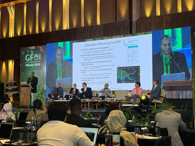 Papua New Guinea presenting at GFOI 2025.