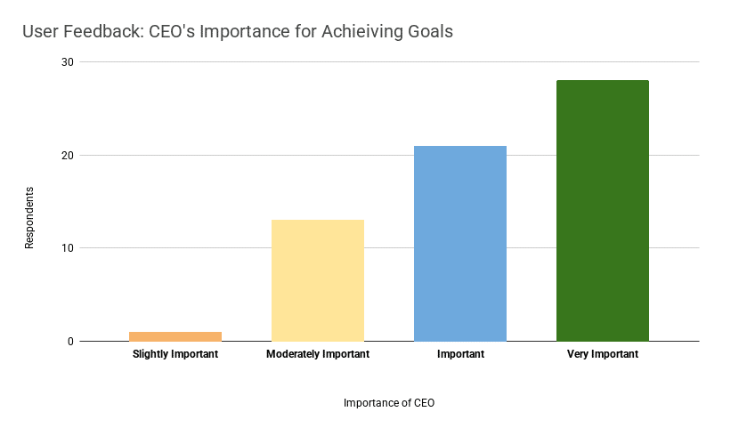 CEO's importance for achieving goals