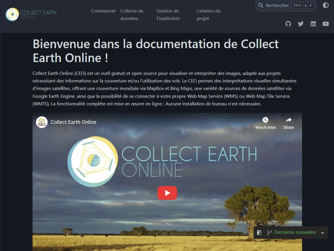 CEO translated to French