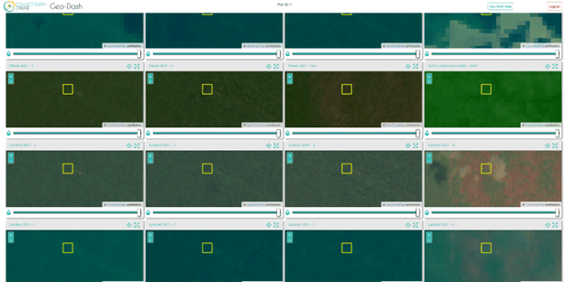 Example of sample from Mato Grosso where fire affected the landscape in 2021.